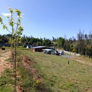 Santa Juana parcela en venta